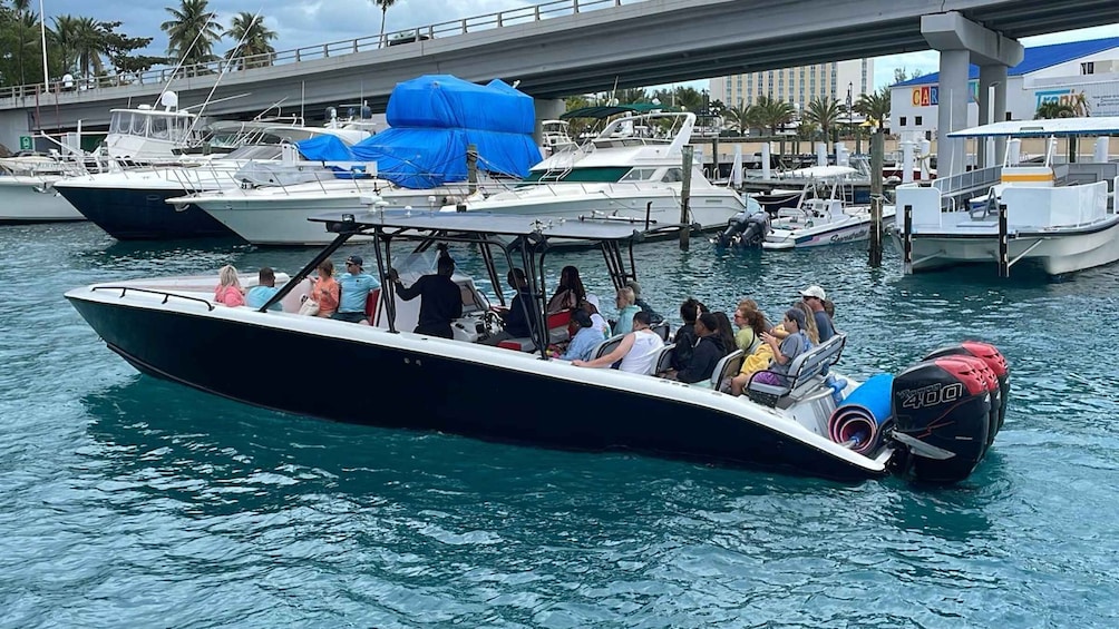 Picture 49 for Activity Nassau: 3 Islands Tour, Snorkel, Pig Beach, Turtles & Lunch