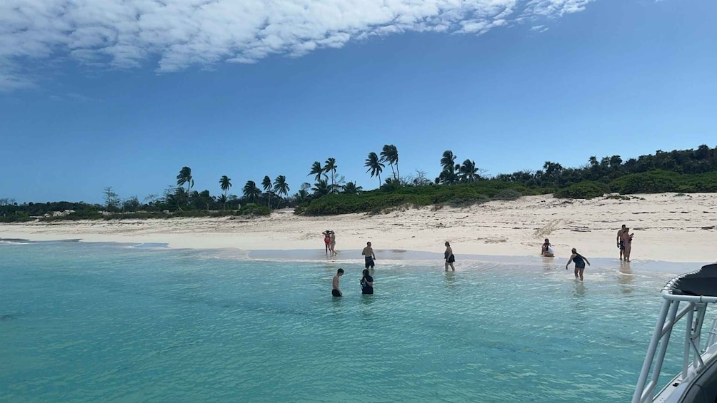 Picture 30 for Activity Nassau: 3 Islands Tour, Snorkel, Pig Beach, Turtles & Lunch