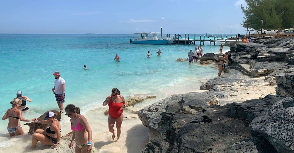 Picture 12 for Activity Nassau: 3 Islands Tour, Snorkel, Pig Beach, Turtles & Lunch