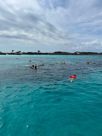 Picture 24 for Activity Nassau: 3 Islands Tour, Snorkel, Pig Beach, Turtles & Lunch