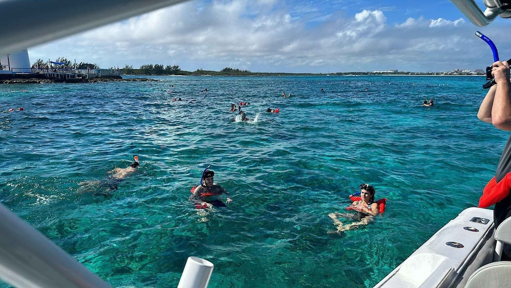 Picture 16 for Activity Nassau: 3 Islands Tour, Snorkel, Pig Beach, Turtles & Lunch