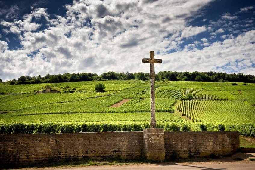 Picture 1 for Activity Vosne-Romanée: Private Vineyards Walking Tour with Tasting