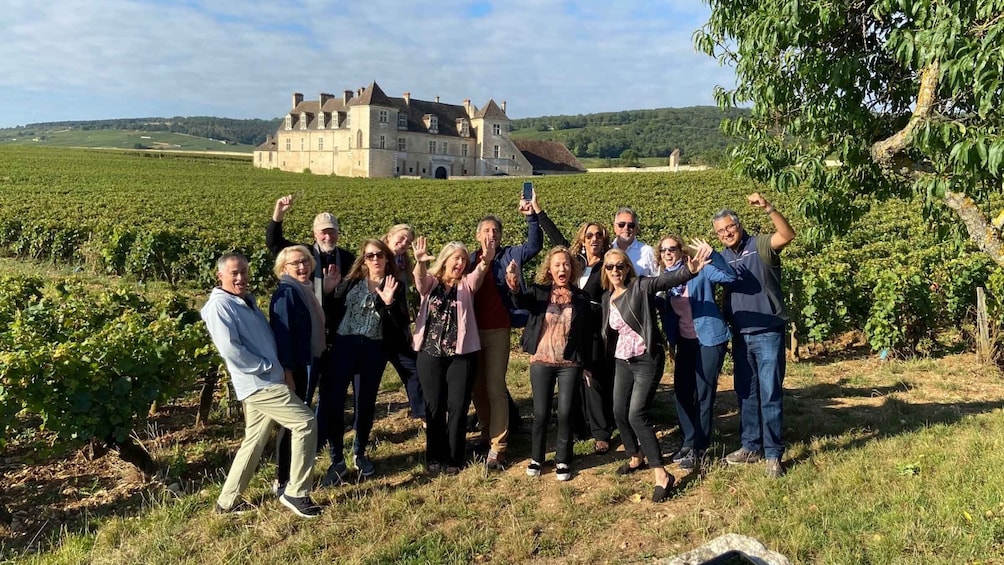Picture 2 for Activity Vosne-Romanée: Private Vineyards Walking Tour with Tasting