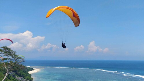 Bali: Uluwatu or Nusa Dua Beach Paragliding Experience