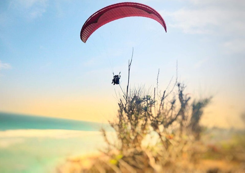 Picture 5 for Activity Bali: Uluwatu and Nusa Dua Beach Paragliding Experience