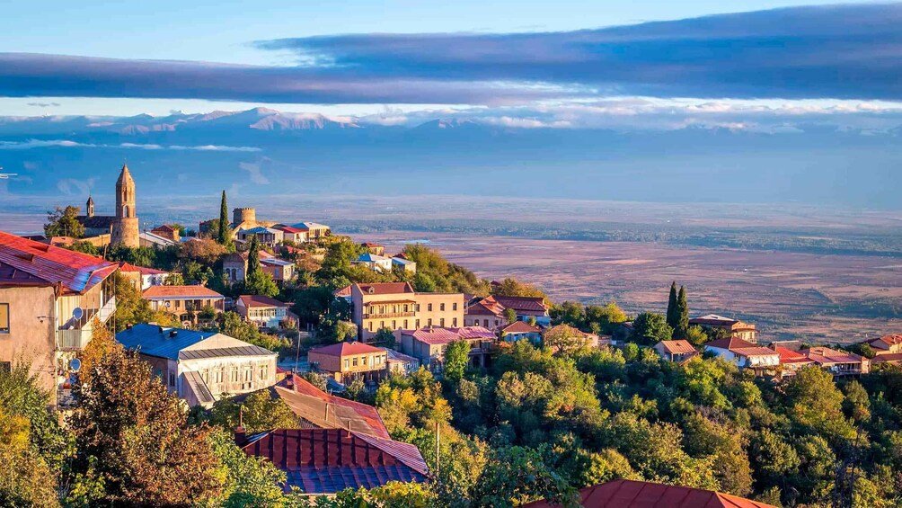 Picture 16 for Activity Kakheti Homeland of wine (Sighnaghi+Bodbe+Telavi)