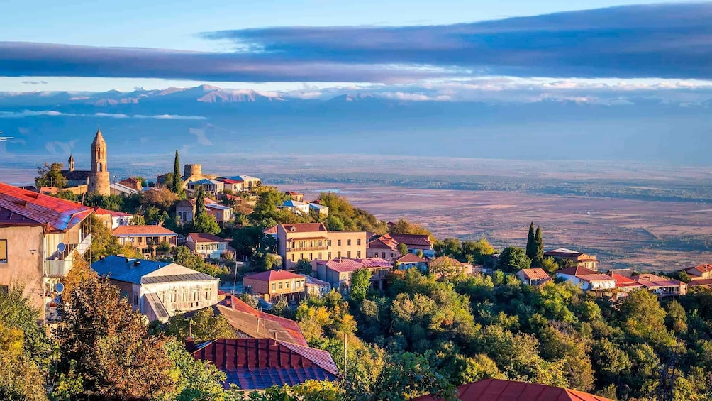Picture 16 for Activity Kakheti Homeland of wine (Sighnaghi+Bodbe+Telavi)