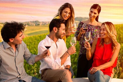Bologna: Olive Grove and Vineyard Tour with Product Tastings