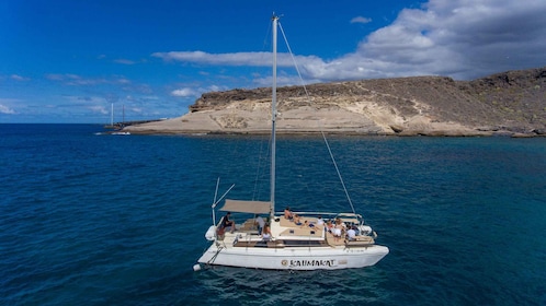 From Costa Adeje: Private Catamaran Tour with Snorkeling