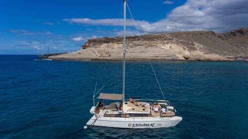 From Costa Adeje: Private Catamaran Tour with Snorkelling