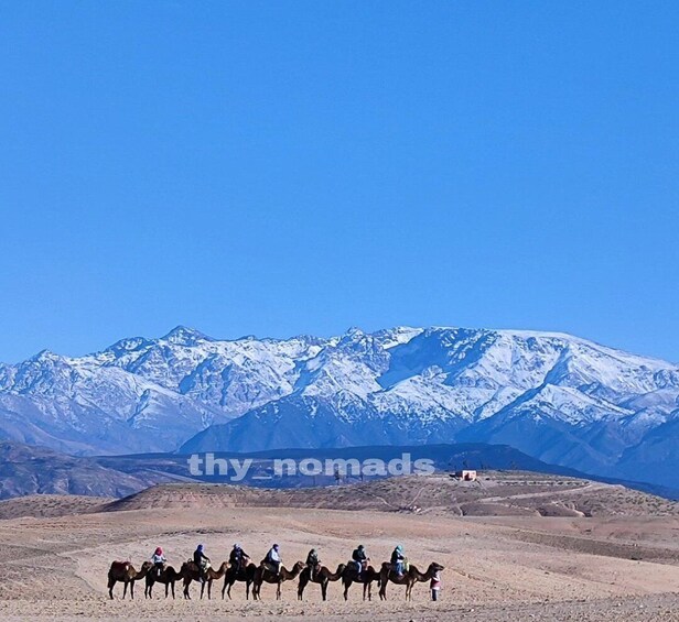 Picture 7 for Activity Marrakech: Desert Dinner, Sunset Camel Ride, & Bonfire Music