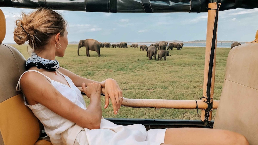 From Hikkaduwa/Galle/Weligama/Mirissa: Udawalawe Safari Tour