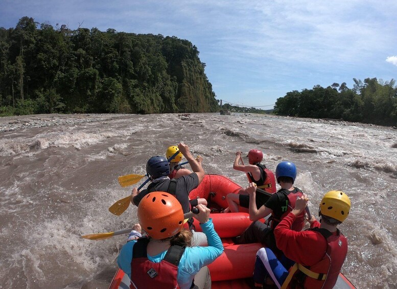 Picture 11 for Activity Ecuador Active: Hike, bike, raft the Andes & Amazon regions