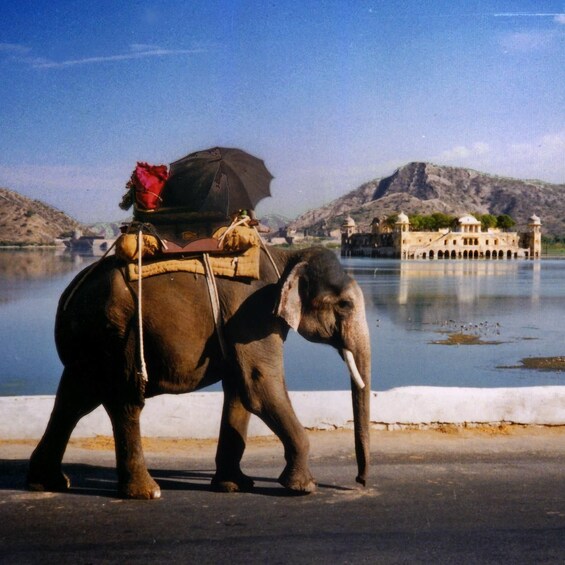 Picture 6 for Activity Jaipur: Private Instagram Tour of The Best Photography Spots