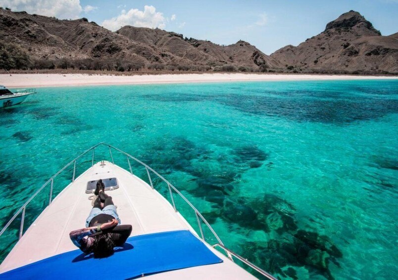 Picture 2 for Activity Komodo Island: 3D2N Private Speedboat, Land Tour & Hotel