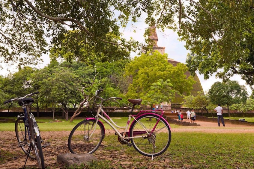 From Polonnaruwa: Ancient City of Polonnaruwa by Bike