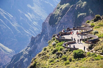 Colca Canyon Full Day Arequipa