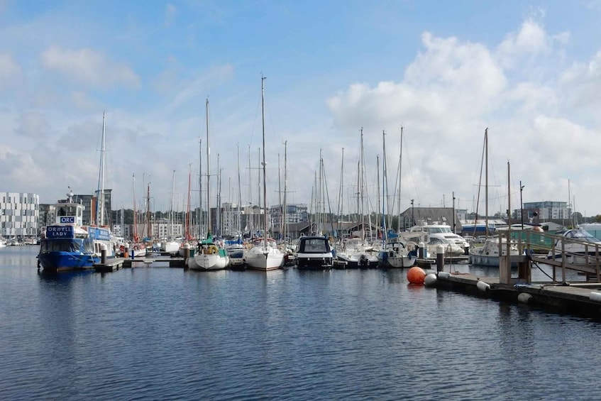 Ipswich: Quirky self-guided heritage walks