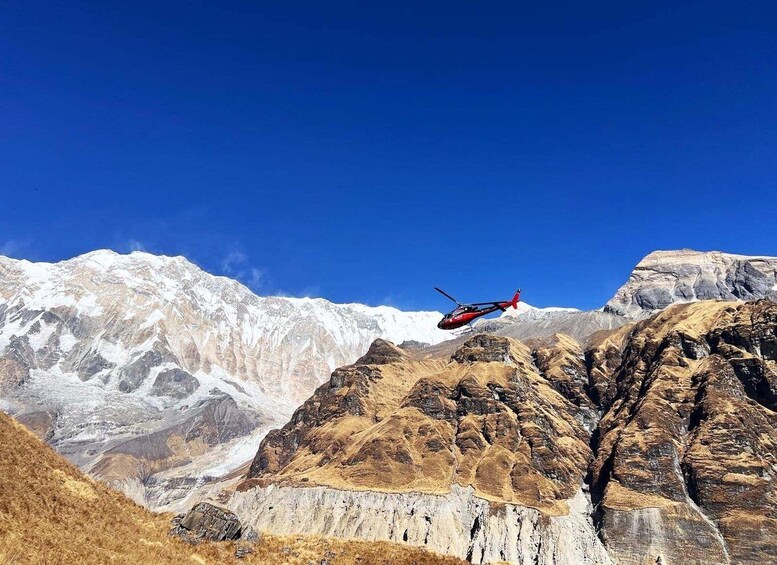 Picture 3 for Activity From Pokhara: Annapurna Base Camp (ABC) Helicopter Tour