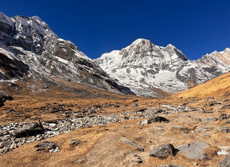 Picture 4 for Activity From Pokhara: Annapurna Base Camp (ABC) Helicopter Tour