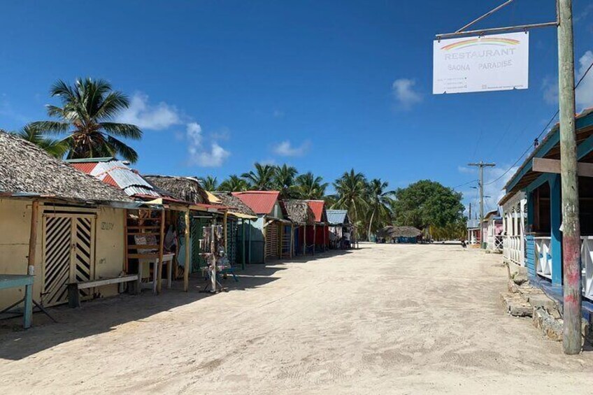 Recorrido de Día Completo a Isla Saona y Altos de Chavon 