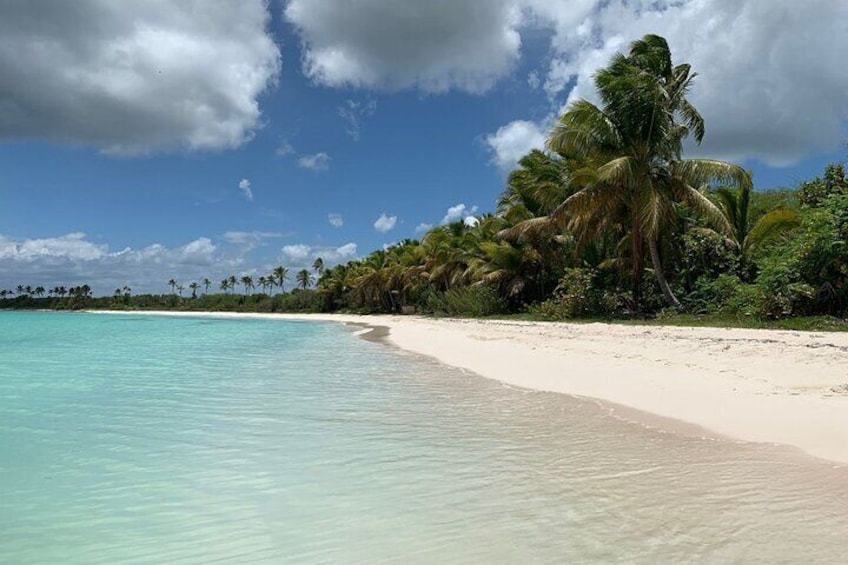 Recorrido de Día Completo a Isla Saona y Altos de Chavon