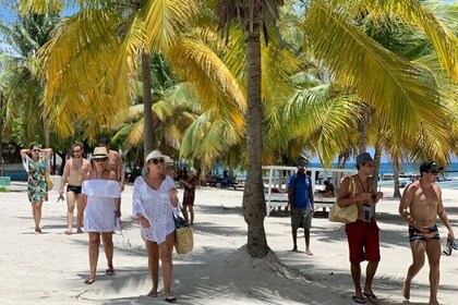 Ganztagestour zur Insel Saona und Altos de Chavon