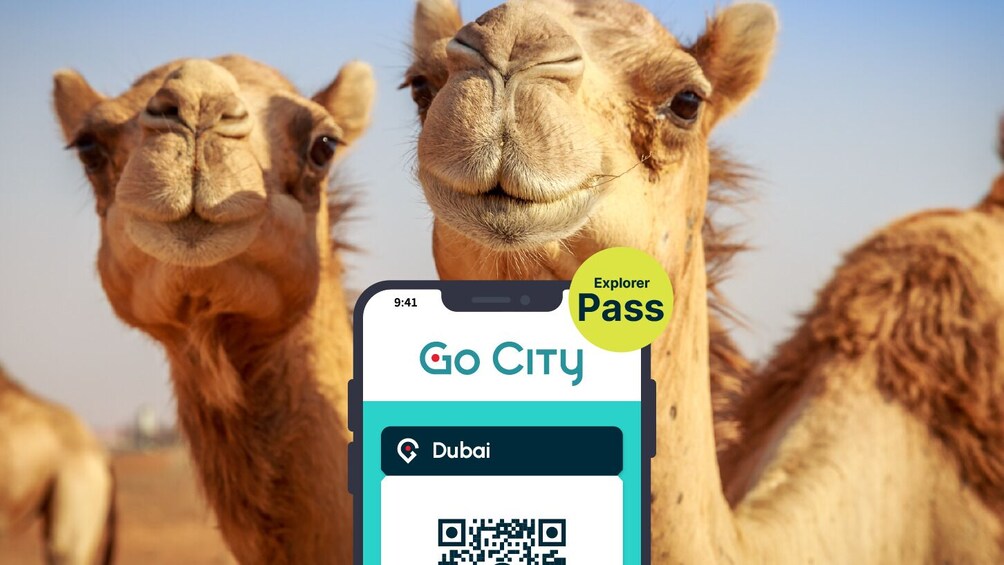 Dubai Explorer Pass: Save up to 50 Percent - Includes Burj Khalifa