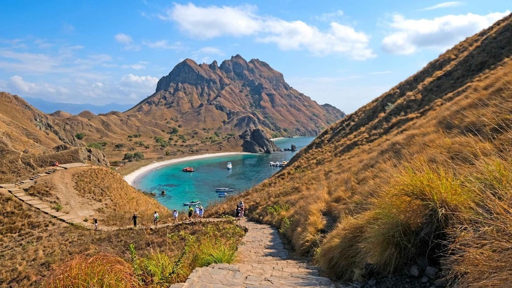 Picture 7 for Activity Komodo Island: Private Day Tour by Speedboat