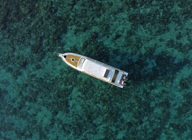 Komodo Island: Private Day Tour by Speedboat