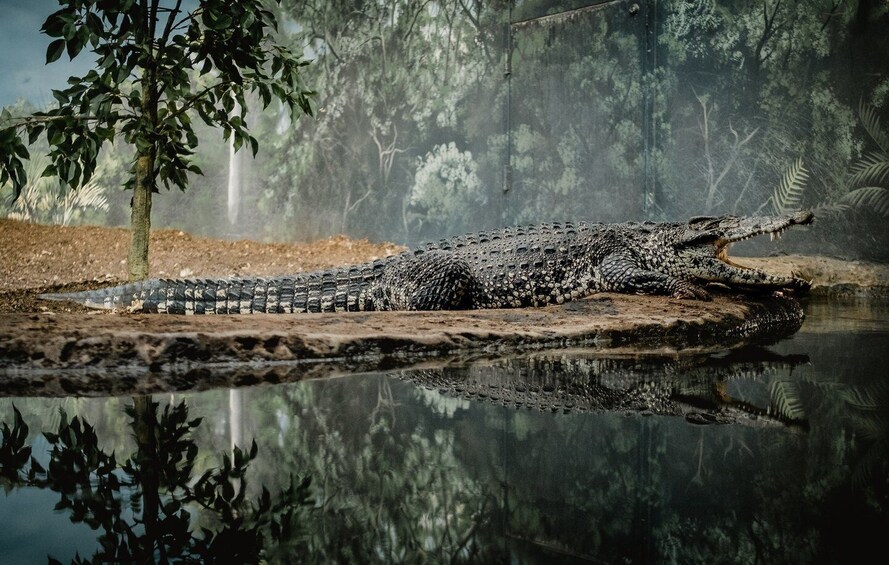 Picture 3 for Activity Kathmandu: 3-Day Wildlife, Culture and Jungle Safari Tour