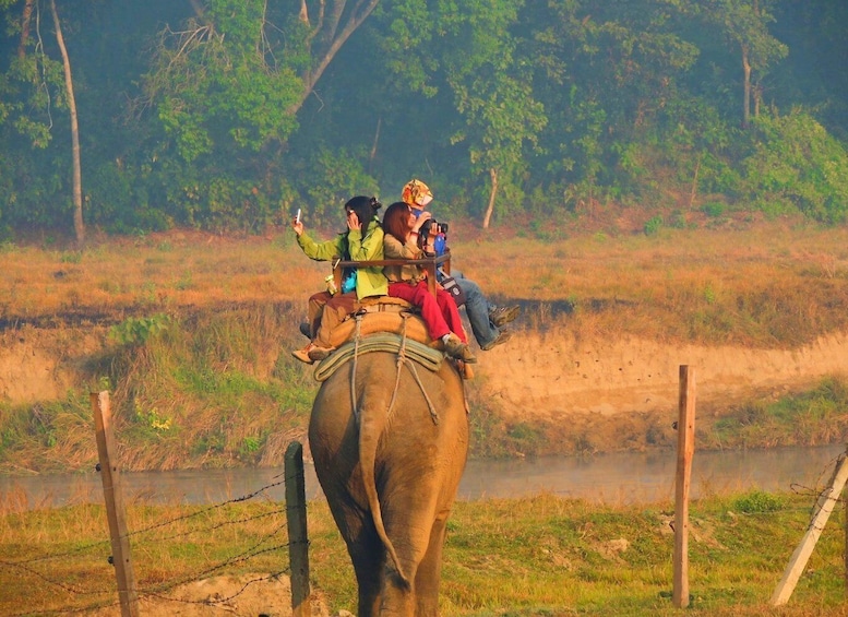 Picture 4 for Activity Kathmandu: 3-Day Wildlife, Culture and Jungle Safari Tour