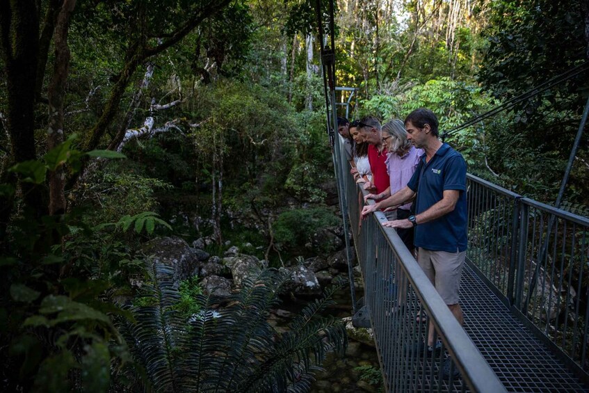 Picture 4 for Activity Southern Daintree Explorer Tour - Half Day