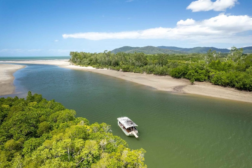 Picture 6 for Activity Southern Daintree Explorer Tour - Half Day