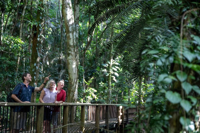 Picture 7 for Activity Southern Daintree Explorer Tour - Half Day