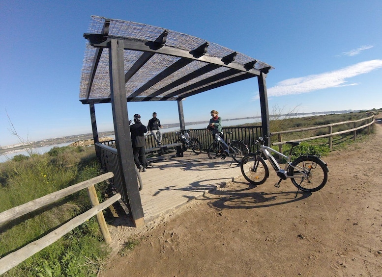 Picture 1 for Activity Torrevieja: Natural Parks e-Bike Tour