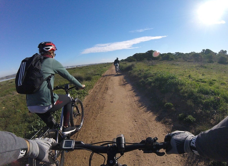 Torrevieja: Natural Parks e-Bike Tour