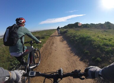 Torrevieja: Natural Parks e-Bike Tour