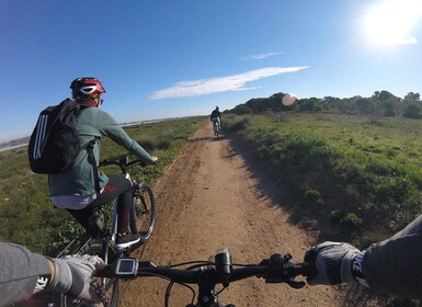 Torrevieja: Natural Parks e-Bike Tour