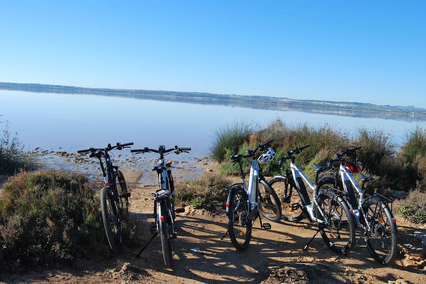 Picture 4 for Activity Torrevieja: Natural Parks e-Bike Tour