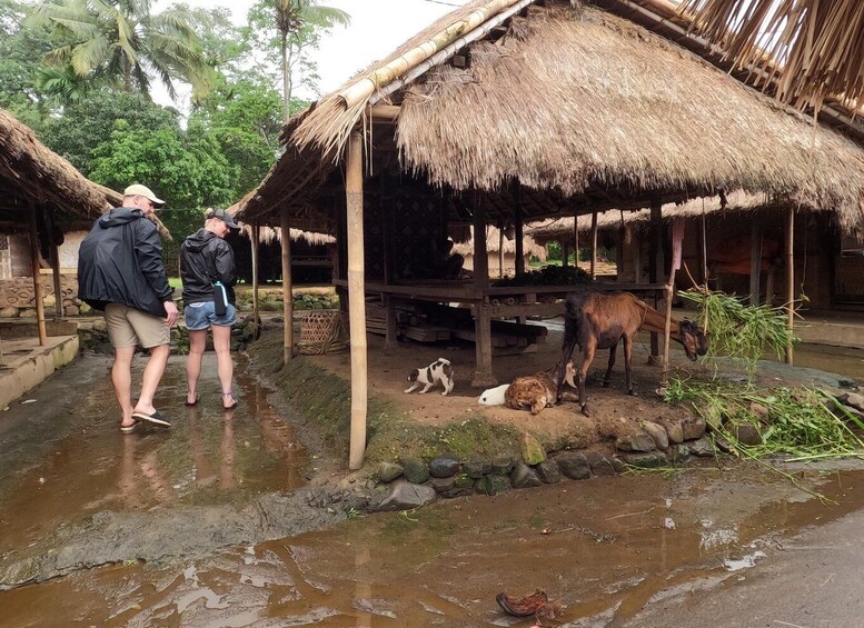 Picture 2 for Activity Full day tour from Mataram or Senggi to senaru waterfalls