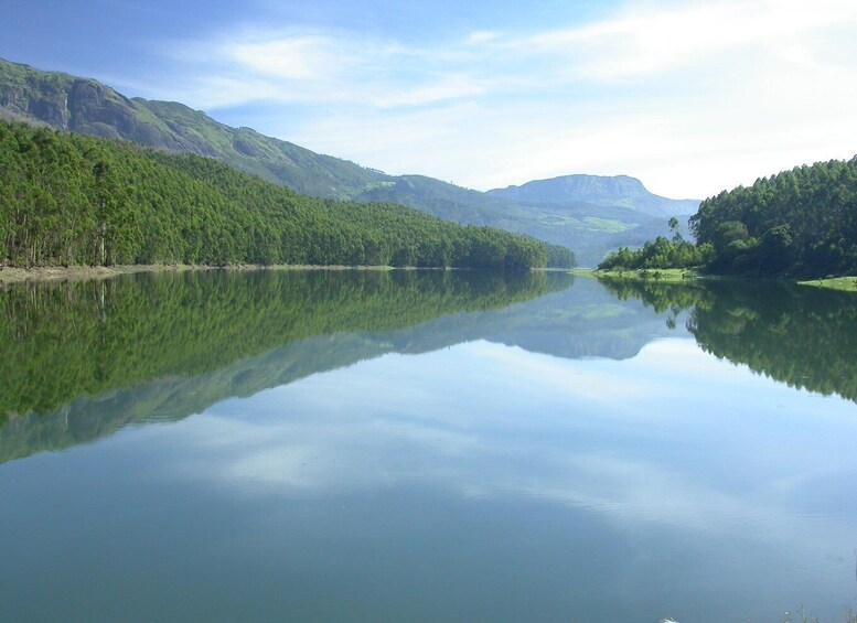 Picture 3 for Activity Munnar site-seeing Tour