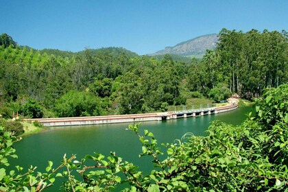 Munnar site-seeing Tour