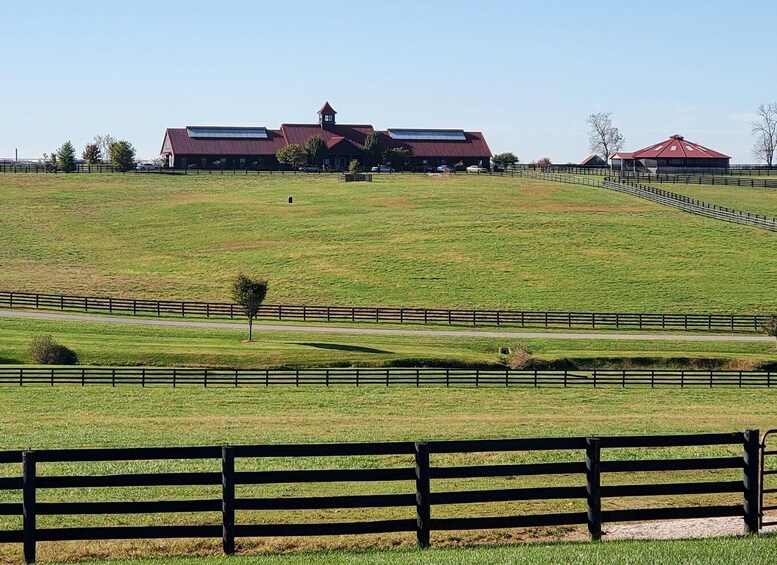 Picture 12 for Activity From Lexington: Kentucky Horse Farms Tour