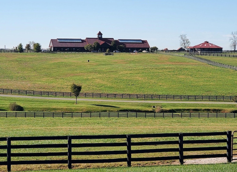 Picture 12 for Activity From Lexington: Kentucky Horse Farms Tour