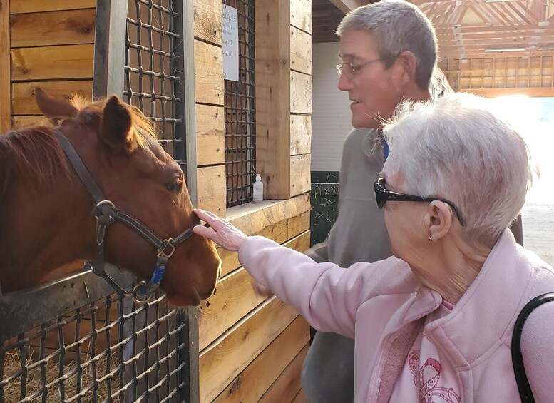 Picture 11 for Activity From Lexington: Kentucky Horse Farms Tour