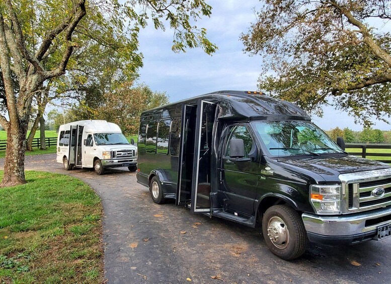 Picture 6 for Activity From Lexington: Kentucky Horse Farms Tour