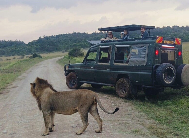 Picture 1 for Activity Nairobi National Park;4hr Gamedrive in only world city park