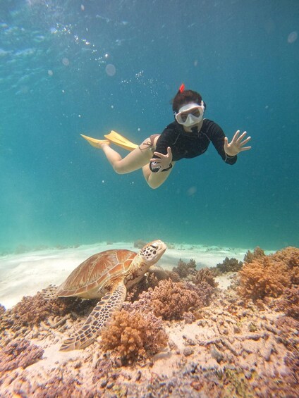 Picture 9 for Activity Gili Trawangan: Gili Islands Sunset Boat Tour and Snorkeling