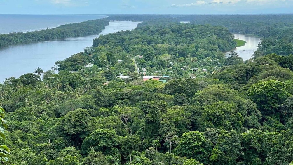 Picture 2 for Activity Parque Nacional Tortuguero: Hiking an Inactive Volcano